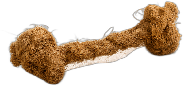 Natural coconut coir dumbbell chew toy for dogs